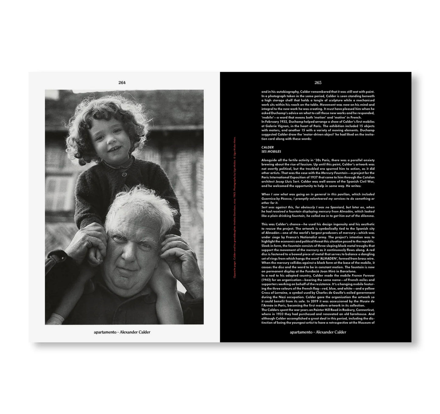 APARTAMENTO ISSUE #31